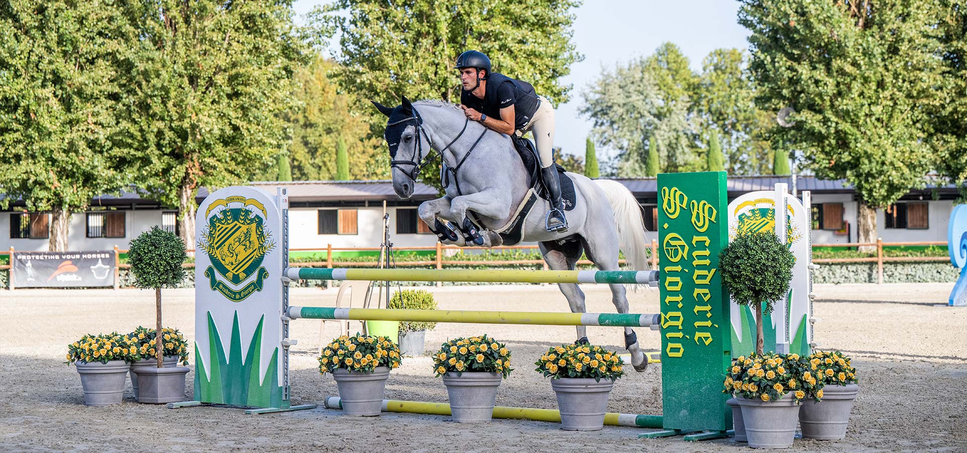 https://www.romicitas.it/wp-content/uploads/2024/06/slider-equestrian-1920x900px-02.jpg